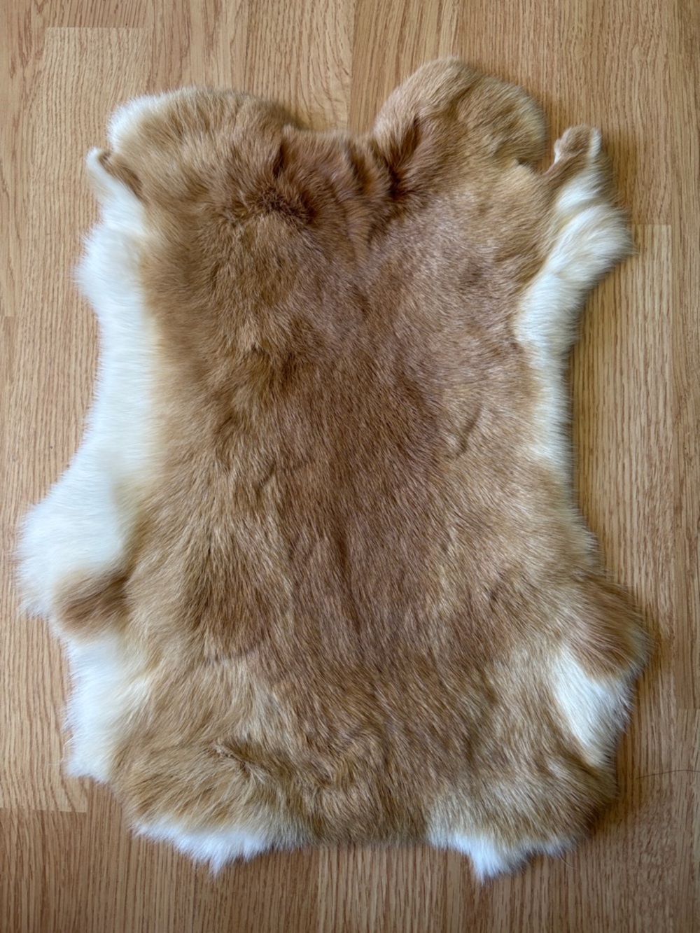 B0008 rabbit pelt crafts decor